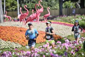 BIB: 
                            <button type="button" onclick="openModal(27793296)" class="btn btn-primary btn-sm float-right btn-popup" data-toggle="modal" data-target=".modal-high-quality">
                        <i class="fas fa-shopping-cart"></i> Add to Cart
                    </button>
                                            <button type="button" onclick="isThisMe(27793296, true)" class="btn btn-success btn-sm float-right btn-popup btn-isme hidden" data-toggle="tooltip" data-placement="bottom" title="นี่คือรูปของคุณใช่ไหม คลิกที่นี่เพื่อเอาเข้าอัลบั้ม">
                        <i class="fas fa-plus"></i> Add to album
                    </button>
                    <button type="button" onclick="isThisMe(27793296, false)" class="btn btn-warning btn-sm float-right btn-popup btn-isnotme hidden">
                        <i class="fas fa-ban"></i> Remove from album
                    </button>